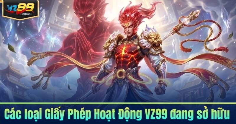 Các loại Giấy Phép Hoạt Động VZ99 đang sở hữu