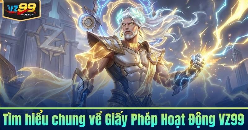 Tìm hiểu chung về Giấy Phép Hoạt Động VZ99