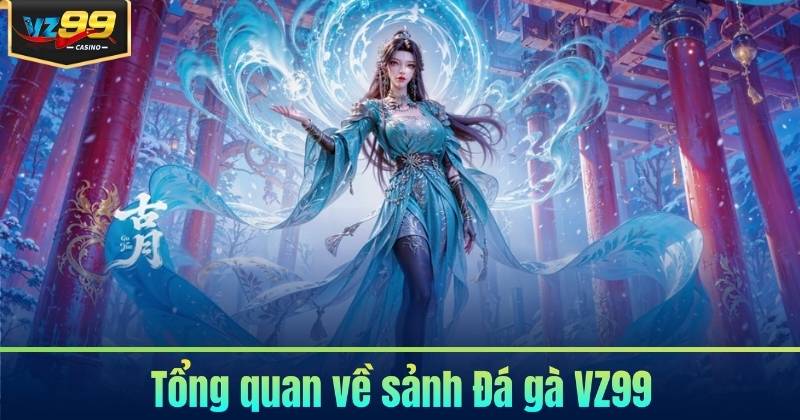 Đá gà VZ99 – Sảnh Chọi Kê Trực Tiếp Đỉnh Cao 5 Tổng quan về sảnh Đá gà VZ99