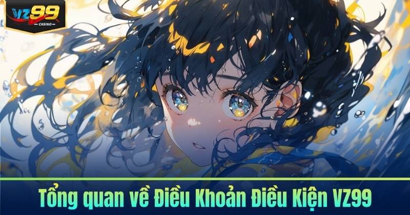 Tổng quan về Điều Khoản Điều Kiện VZ99